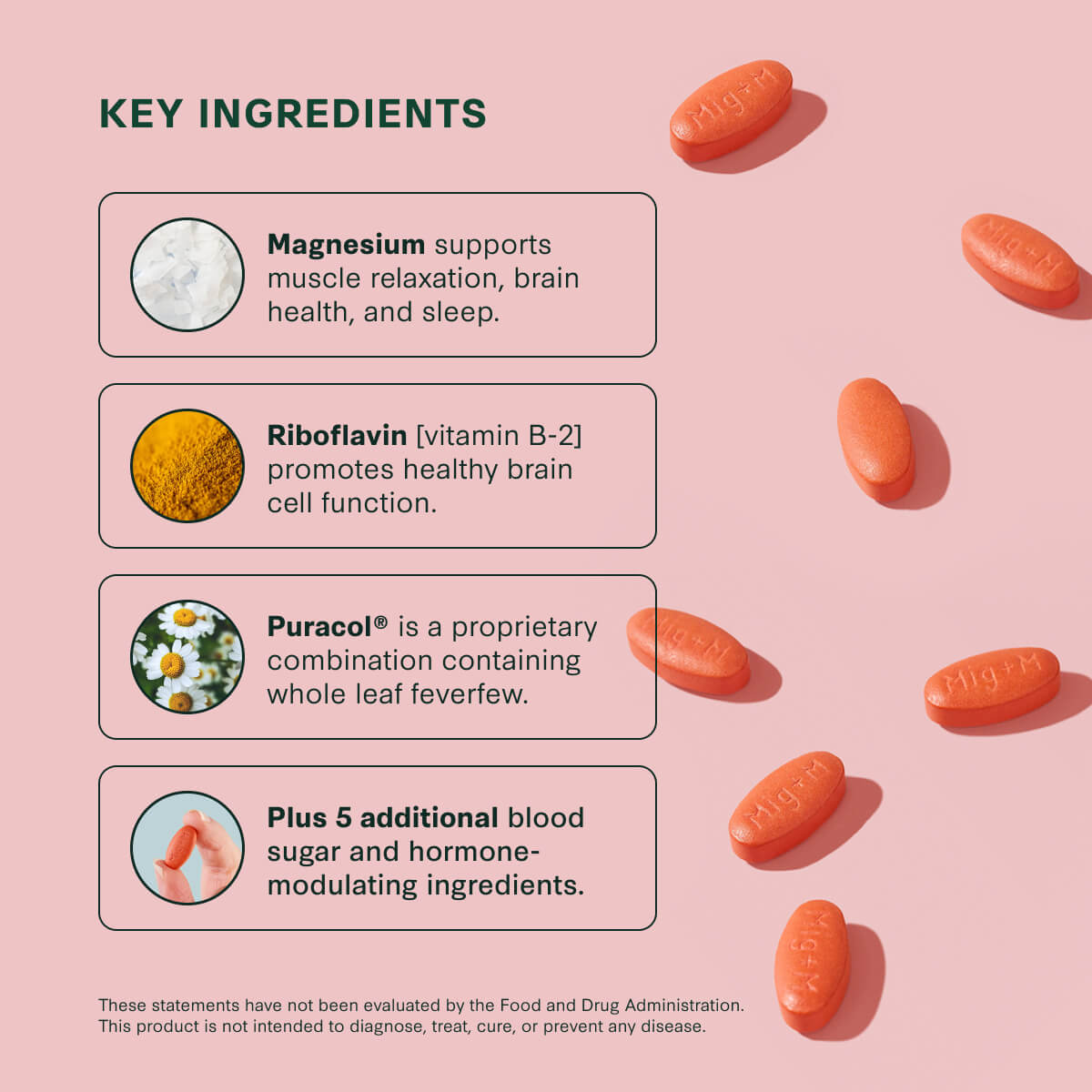 Key ingredients used in MigreLief+M supplement.