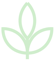 All vegan, non-dairy, and gluten-free ingredients.