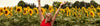 5 Impressive Benefits of Methylfolate