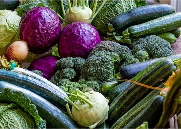 The Anti-Migraine Diet