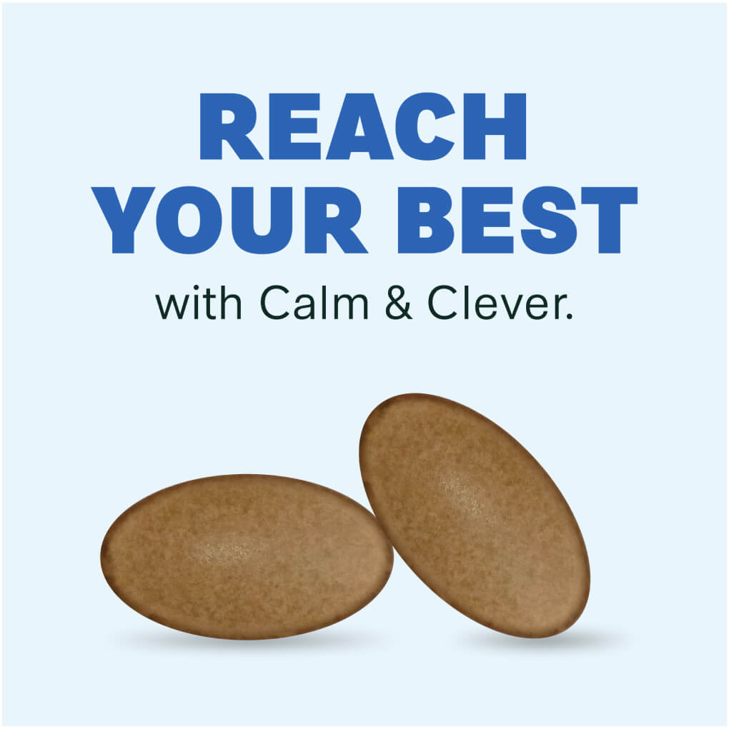 Reach your best with Calm & Clever. 